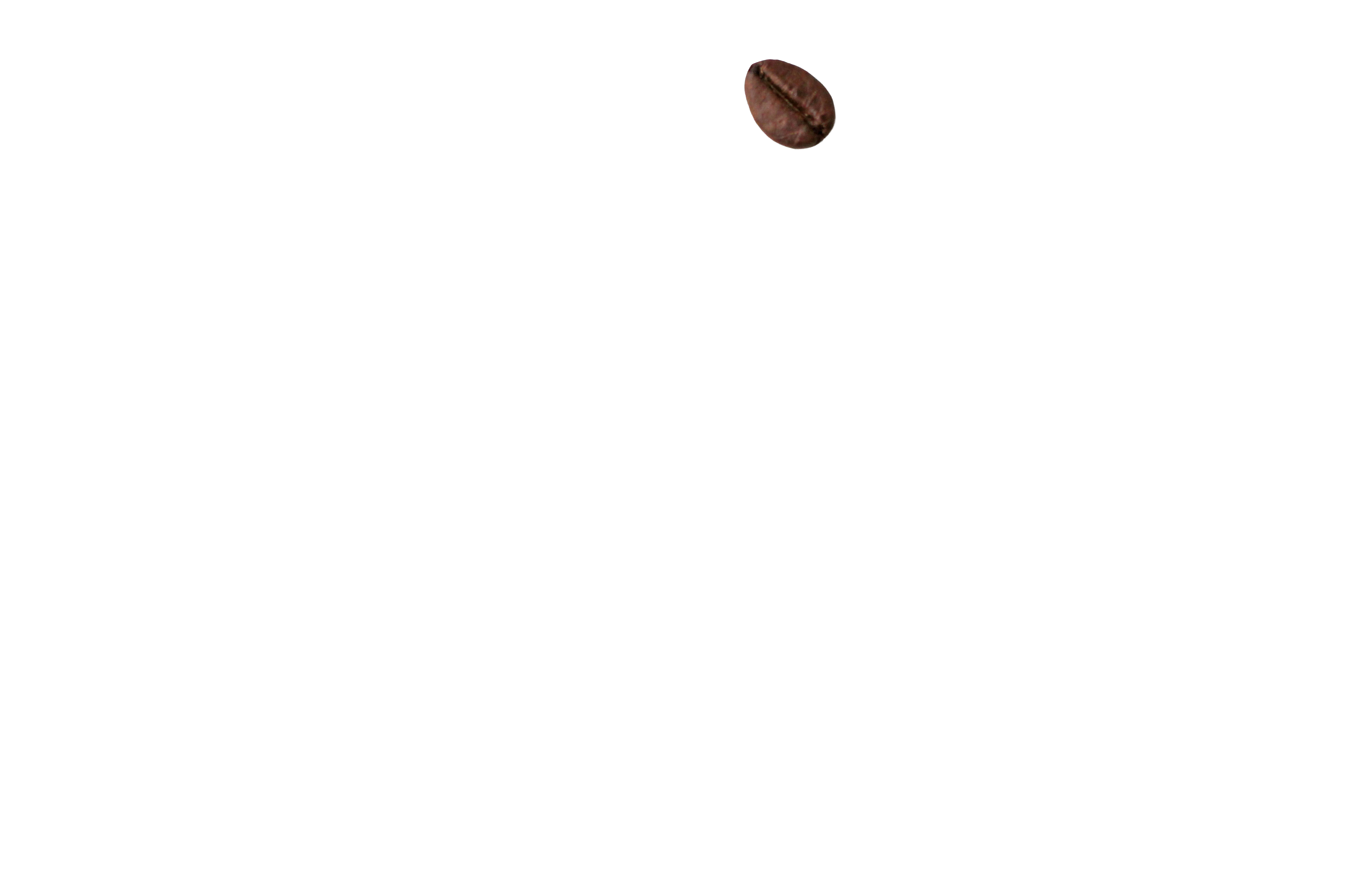 Coffee Bean