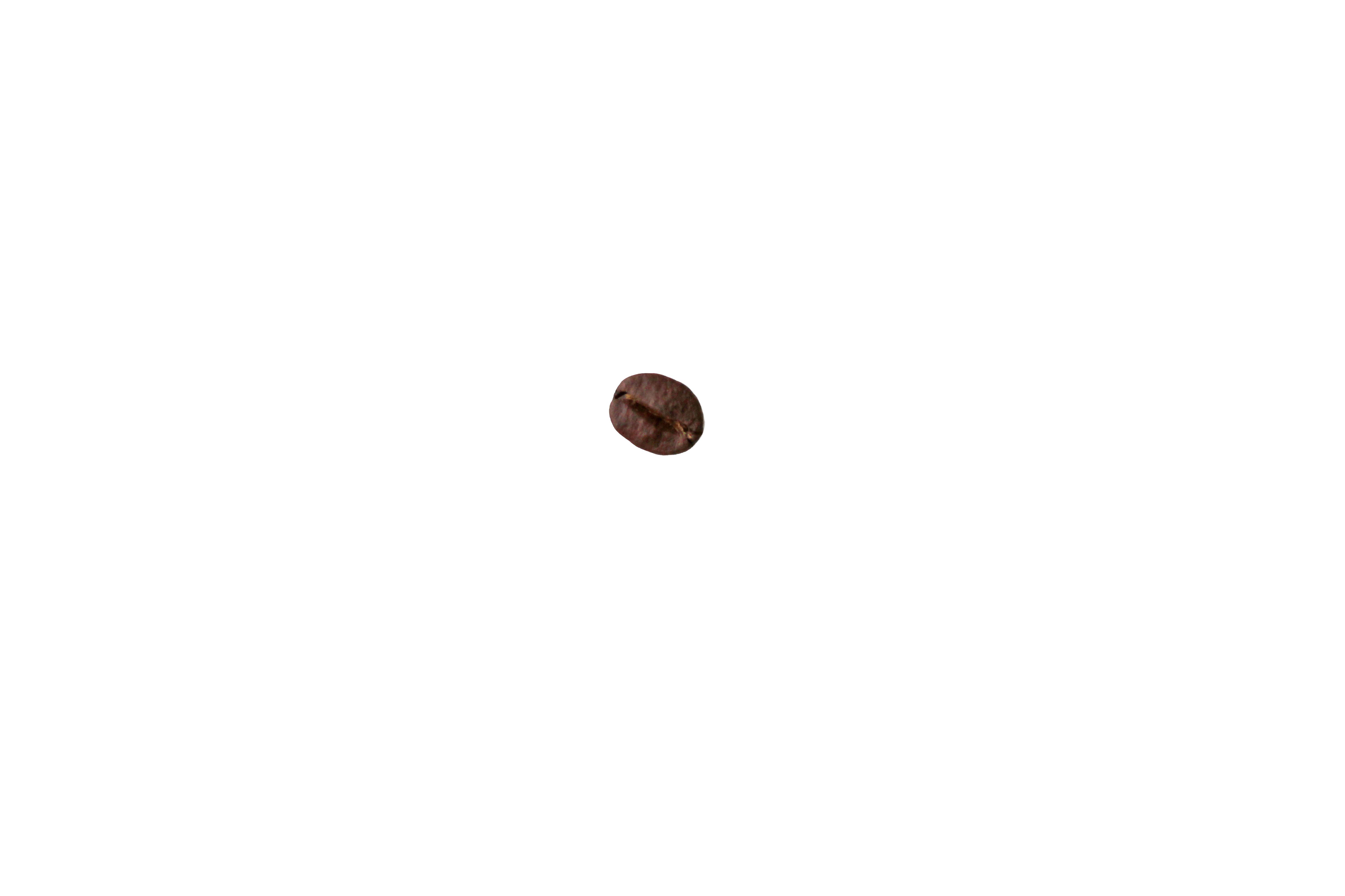 Coffee Bean
