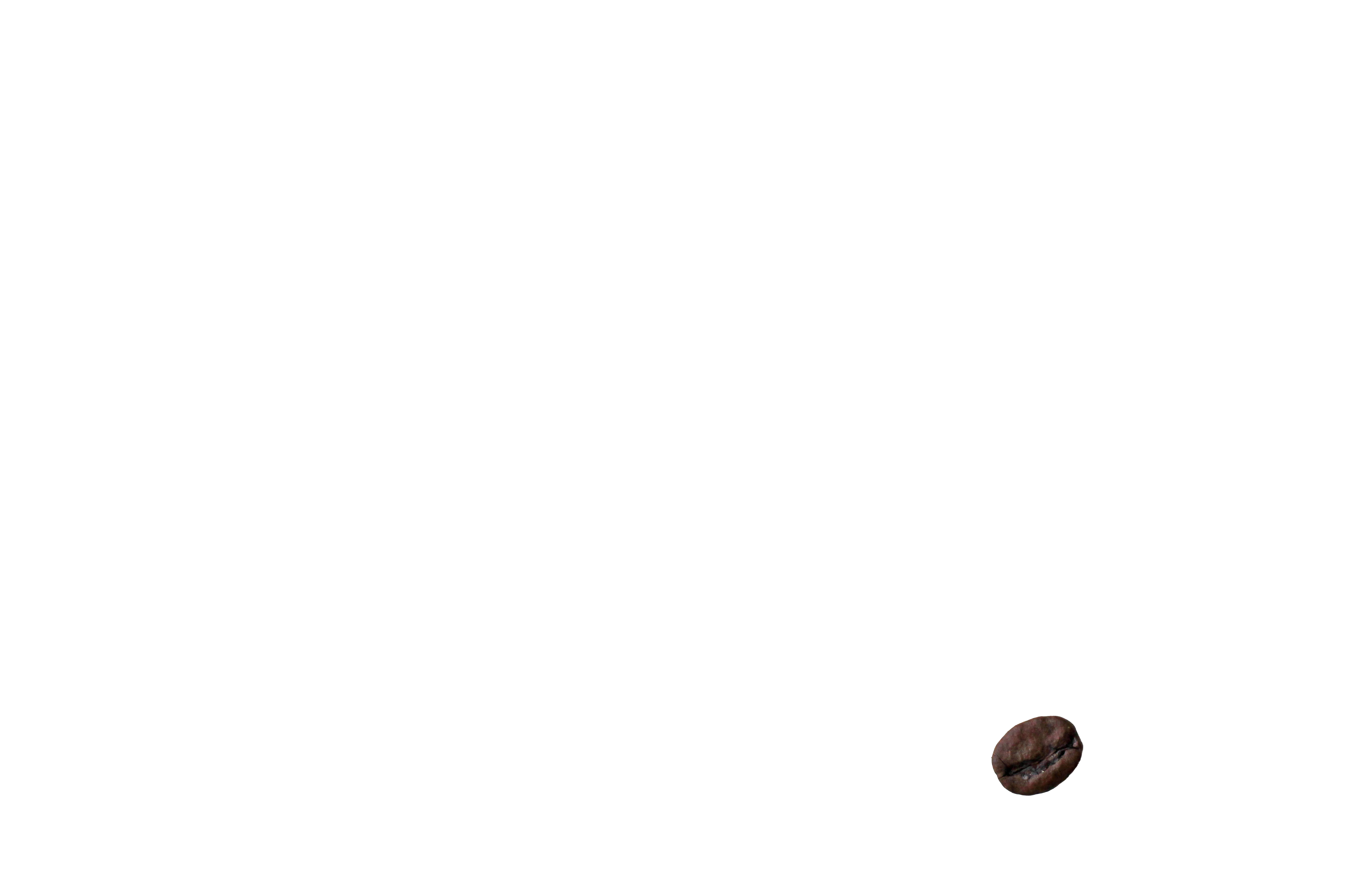 Coffee Bean