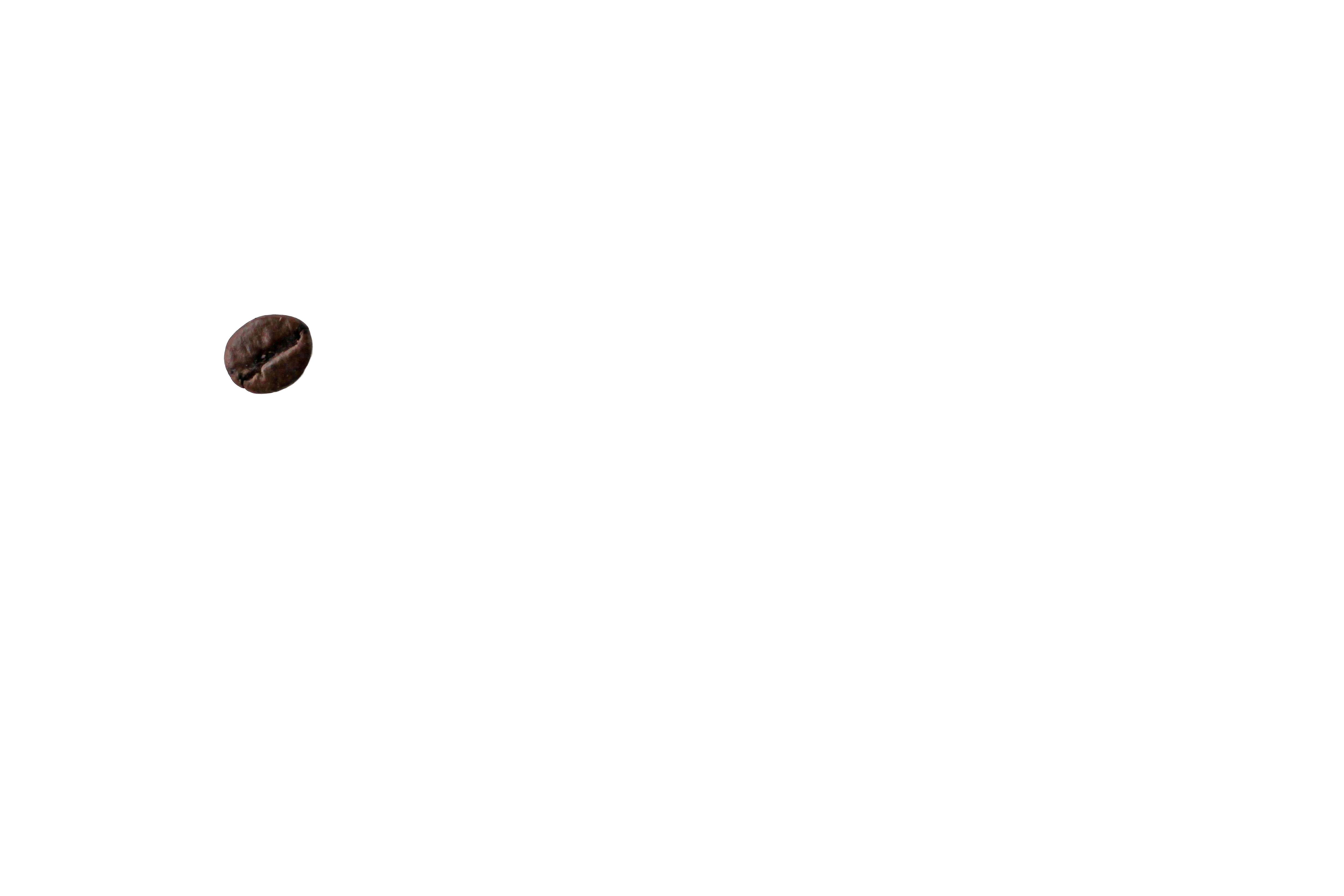 Coffee Bean