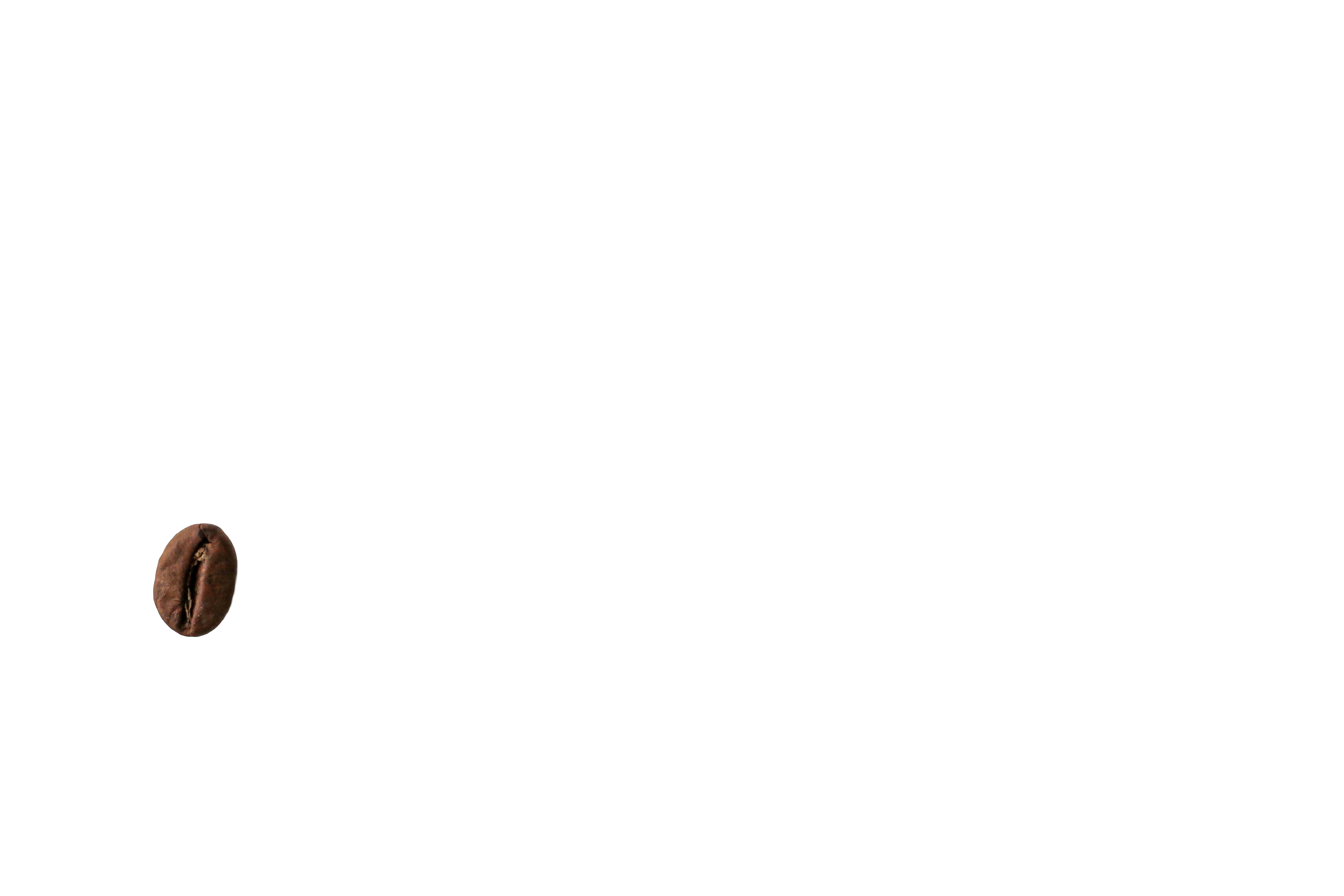 Coffee Bean